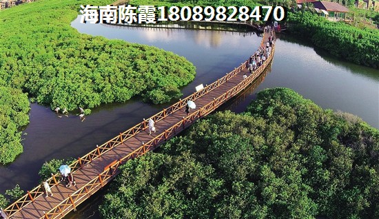 “候鳥”老人在三亞購房資格內(nèi)容細則