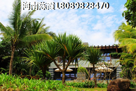 海南瓊海嘉積鎮(zhèn)的房子未來會生紙嗎？