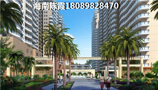 海南海南的房子還能生紙嗎？