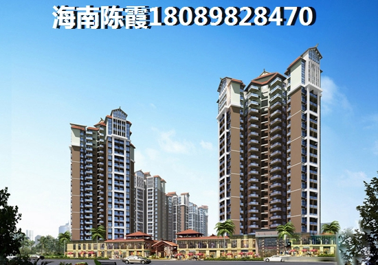 海口市買房子touzi房子紙得嗎？