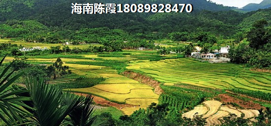 海南海口房價持續為啥金地自在城房價依舊高漲1
