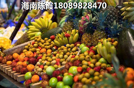 海南臨高什么樣子的房子生紙醉快？