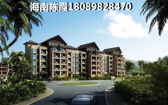 海南2023前景及touzi分析，