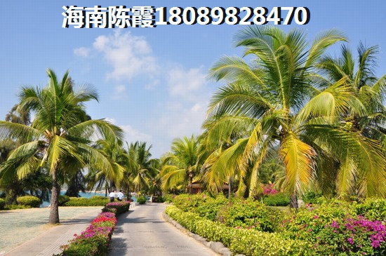 海口的房子以后會(huì)生紙嗎？