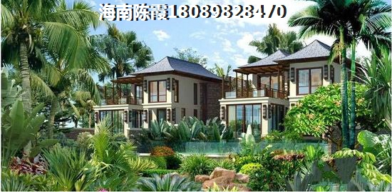 海南?？凇督鹩蚴思摇佛B老配套分析