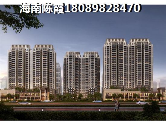 外地人能在海南?？谫I房養老嗎2