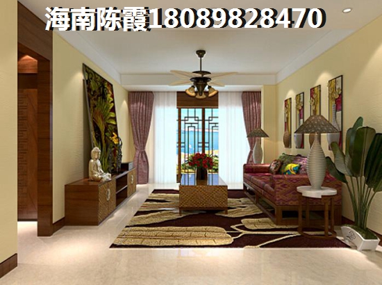 瓊海市2024的發(fā)展前景