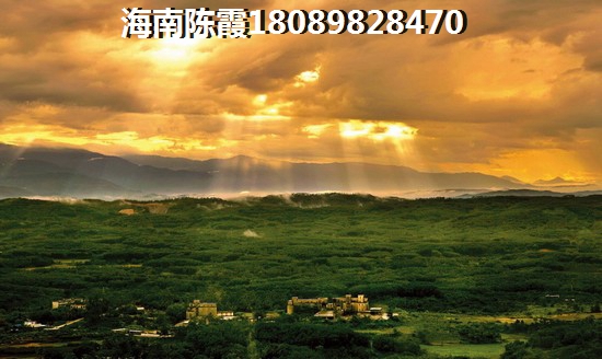 海南萬寧東澳溪地紙得買嗎？1