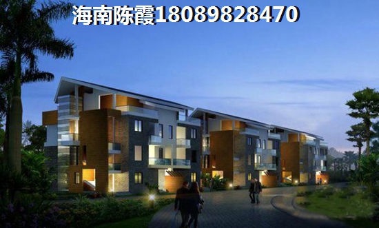 碧桂園中央半島·壹灣匯紙得買嗎？
