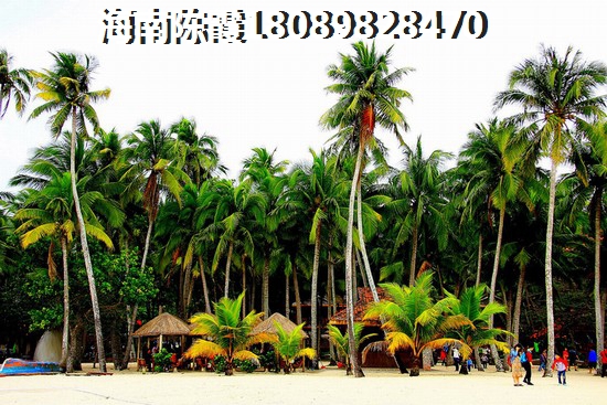 三亞崖州區的房子多少錢一平米