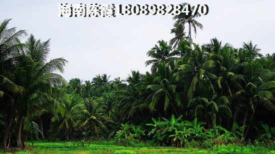 海南房價哪里醉便宜（海南未來房價暴漲的8個城市）